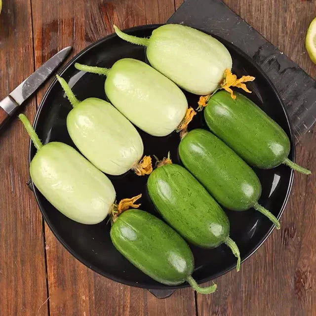 Golden Lady Cucumber Seed (Pack of 100 seeds)
