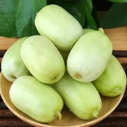 Golden Lady Cucumber Seed (Pack of 100 seeds)